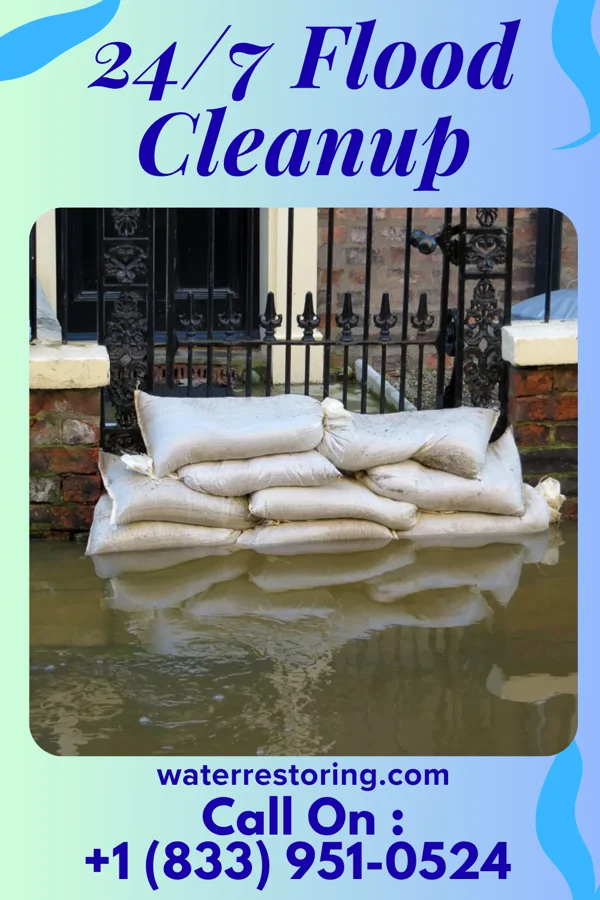 24/7 Flood Cleanup in Dunlevy, PA