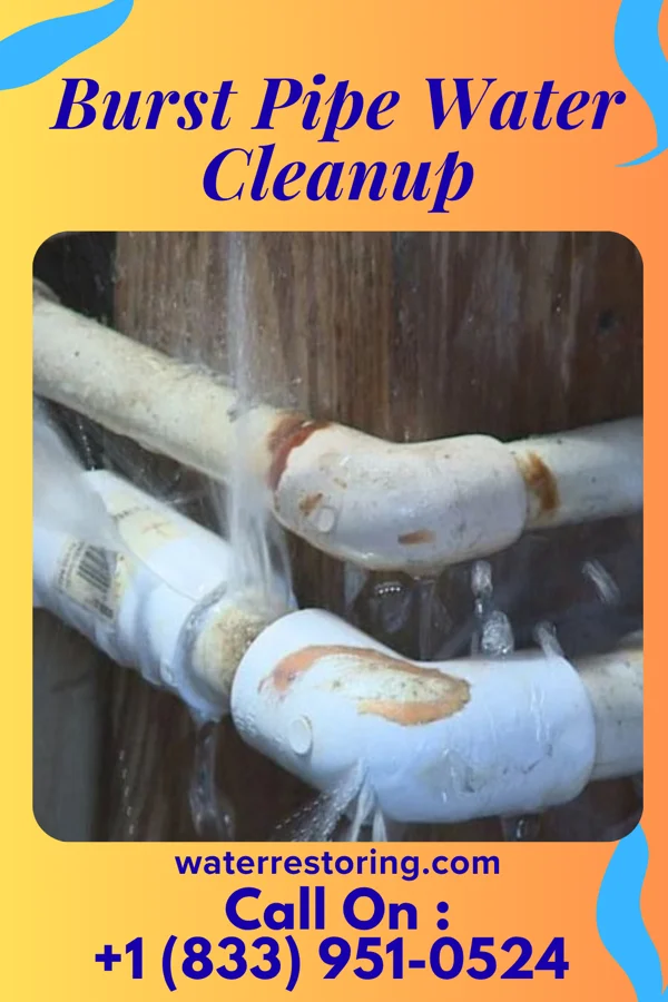 Burst Pipe Water Cleanup in Dunlevy, PA