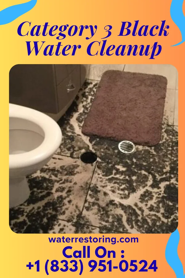 Category 3 Black Water Cleanup in Dunlevy, PA