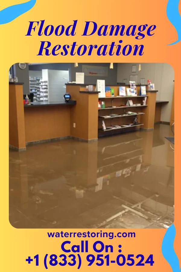 Flood Damage Restoration in Dunlevy, PA