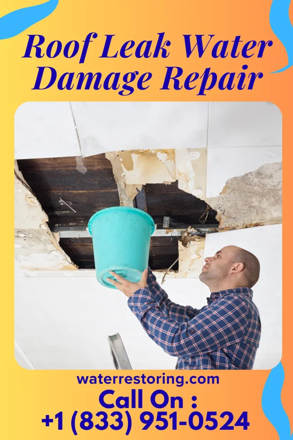 Roof Leak Water Damage Repair in Dunlevy, PA