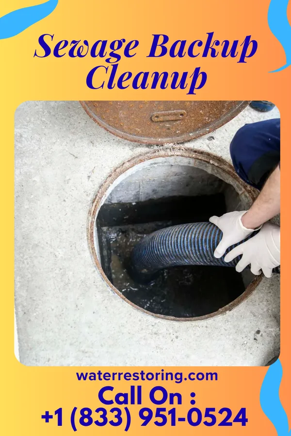 Sewage Backup Cleanup in Dunlevy, PA