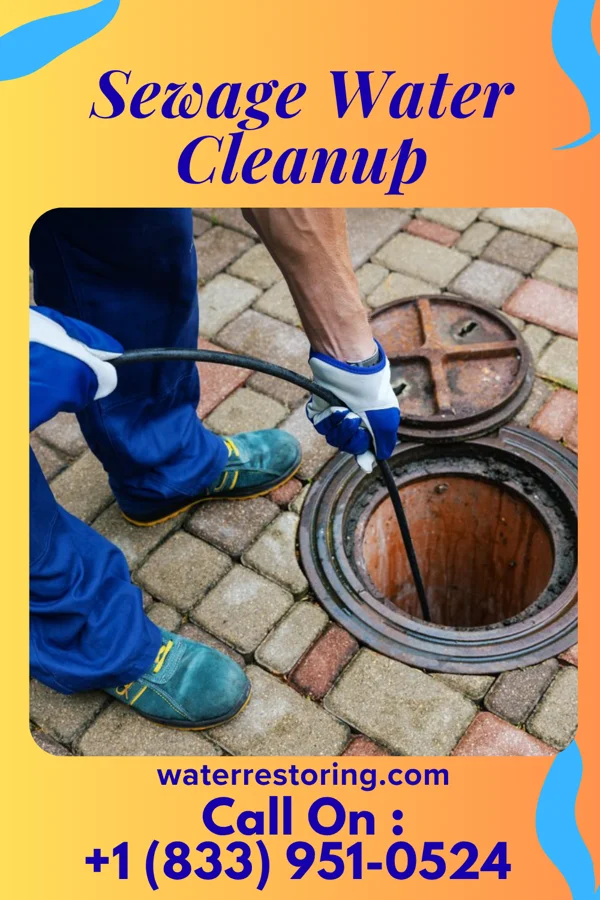 Sewage Water Cleanup in Dunlevy, PA