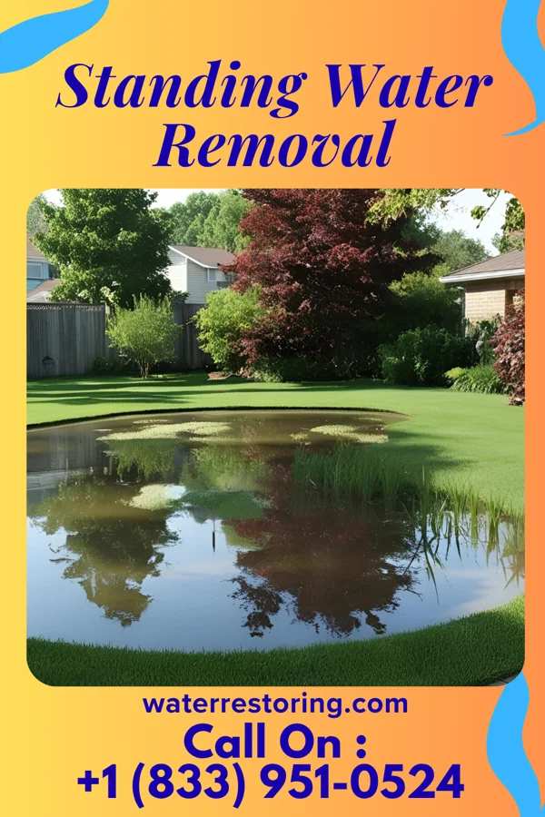 Standing Water Removal in Dunlevy, PA